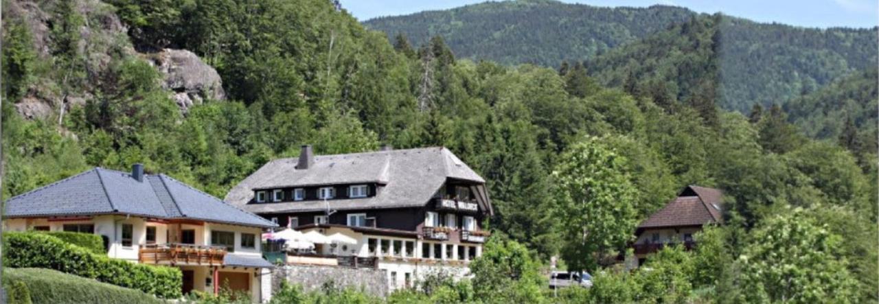 Hotel Waldeck In Todtnau Kültér fotó